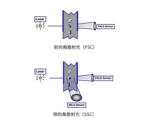 ǰɢ䣨FSCͲɢ䣨SSC