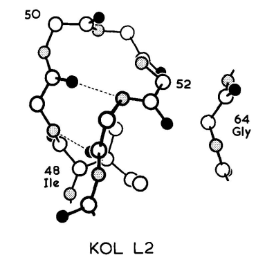 KOL V˽ṹL2