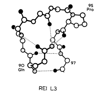 REI VʽṹL3